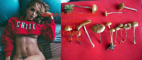 mdma Корсаков