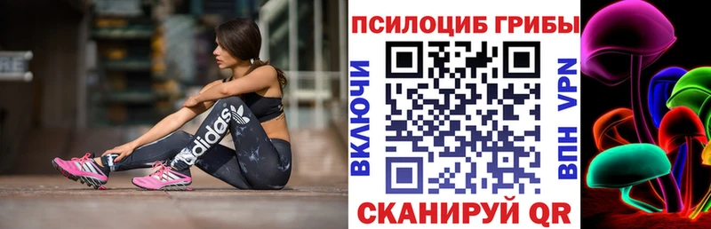 где купить   Черемхово  Галлюциногенные грибы Cubensis 