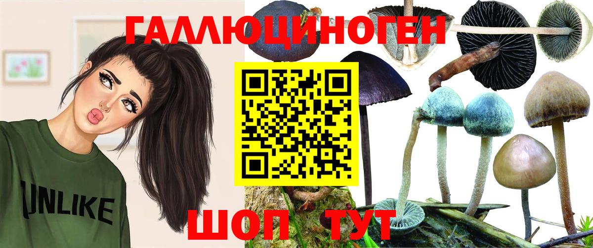 Галлюциногенные грибы мицелий  Вход с VPN  Черемхово 