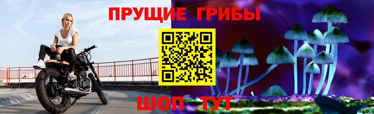 Псилоцибиновые грибы MAGIC MUSHROOMS Черемхово